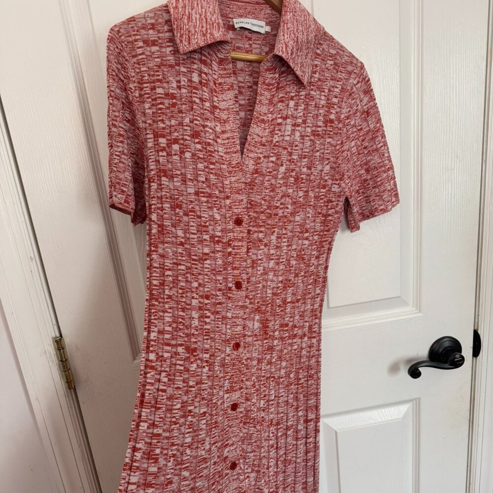 Scanlan Theodore Shirtdress